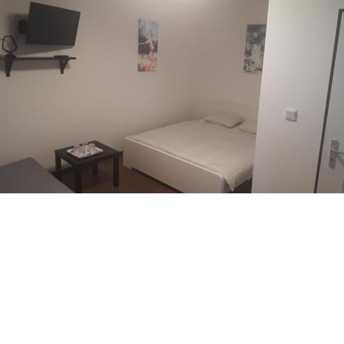Apartmán - súkromie v meste (1)