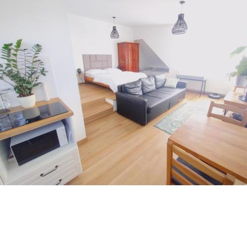 Attic apartment Catnip