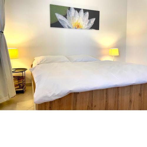 Booklovers apartment close to center