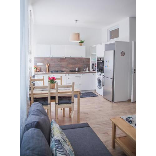 Downtown pedestrian zone apartment