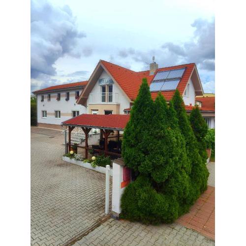 Hotel Orlan