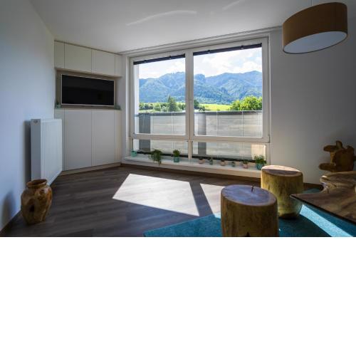 Luxury Mountain View Apartment