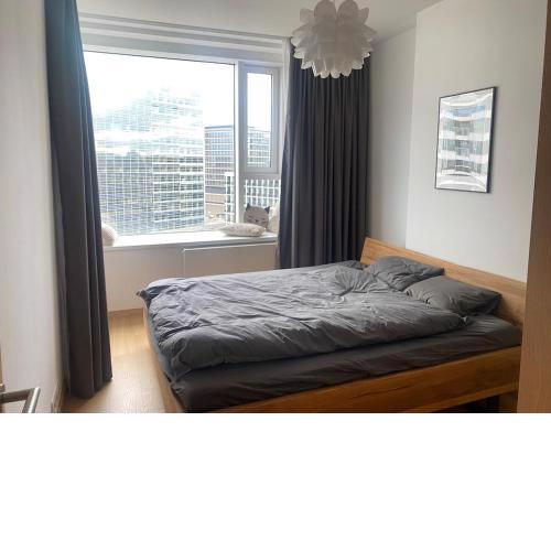 Modern Downtown apartment
