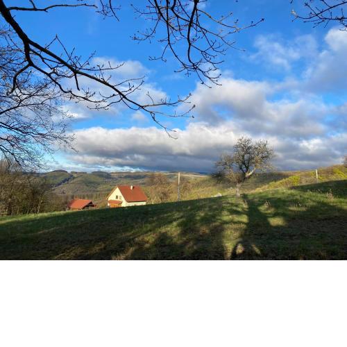 Nature Homestay
