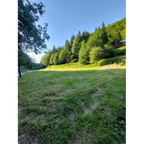 Only Meadow - place for camping