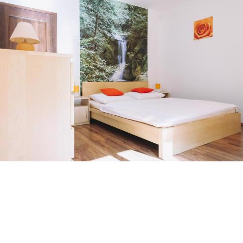 Vila Renáta - Apartmán Renáta 12